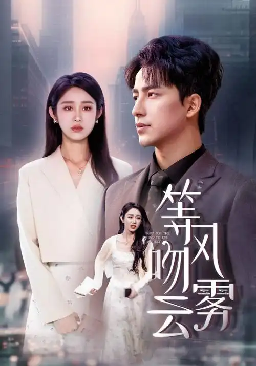 长风渡海热播电视剧全集在线观看